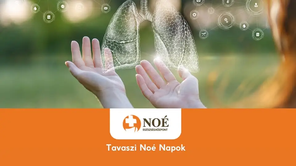 Tavaszi Noé Szakmai Napok